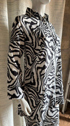 Urban Zebra